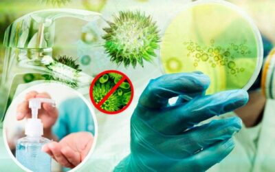 Hygiene in der Erkältungs- und Grippezeit – wie Sie sich und Ihre Lieben schützen können