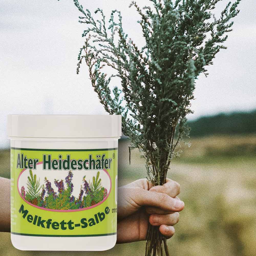 Asam Alter Heideschäfer® Melkfett Salbe, Hautschutz, 100ml