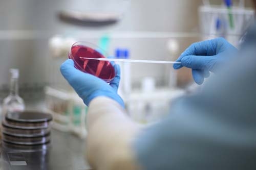 Test im Labor Test im Labor