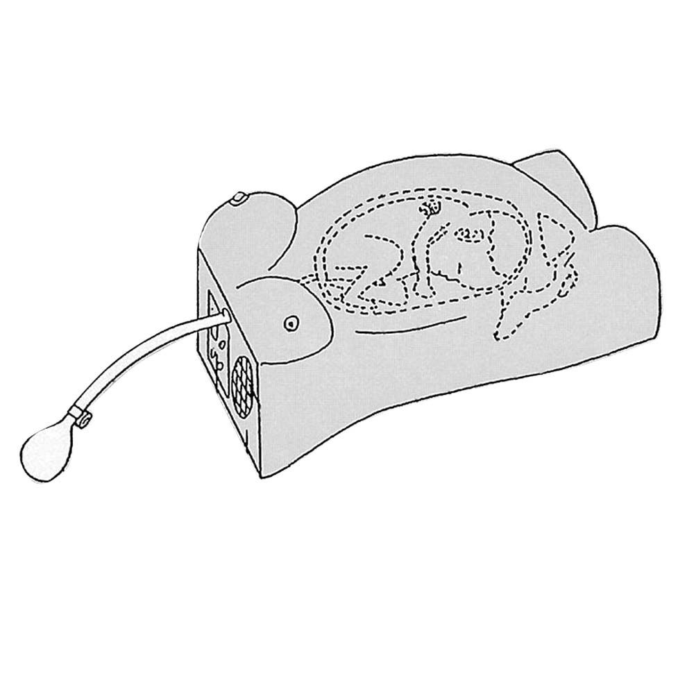 Erler Zimmer Modell - Schwangerschaftsuntersuchung/Herzton-Simulation