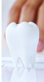 Regelmäßige Zahnärztlichekontrolle ist wichtig