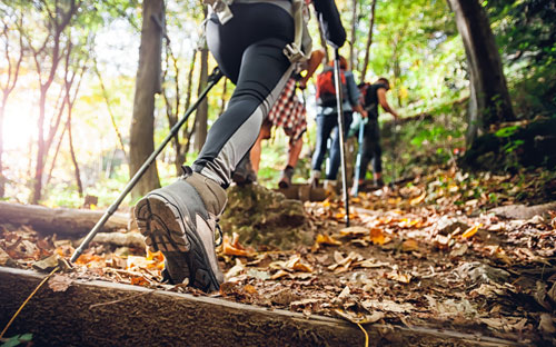 Fußeinlage im Schuh