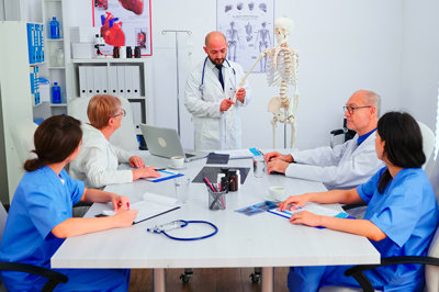 Anatomie Skelett zur medizinischen Ausbildung